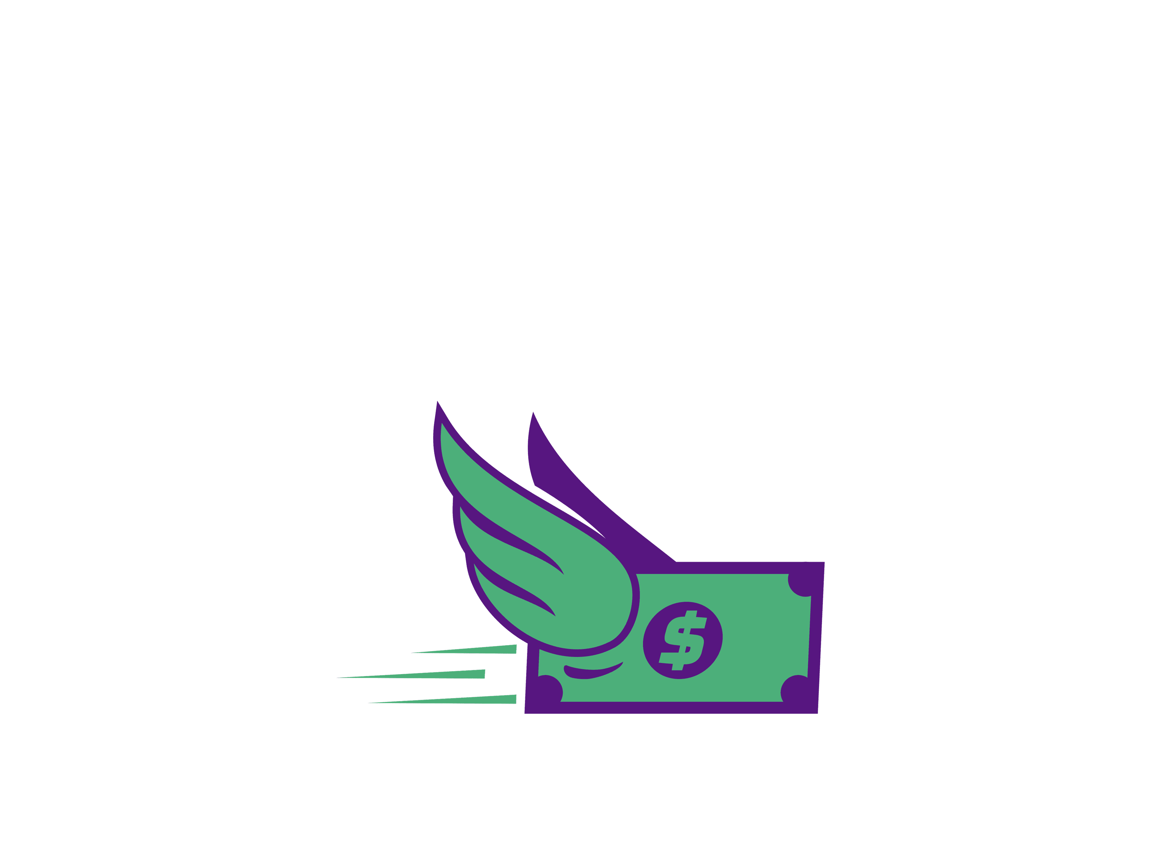 rapidpay24